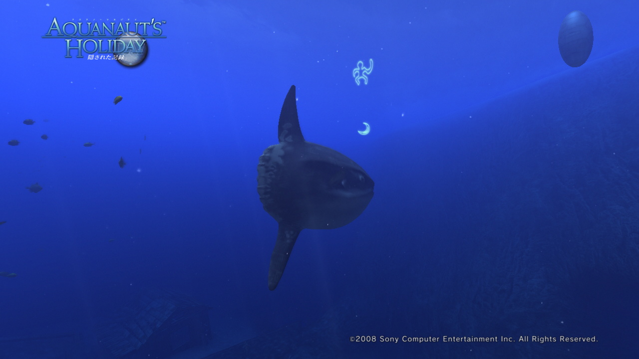 AquaPhoto20E59593E7A4BAE381AEE6B5B7E381ABE381A6E692AEE5BDB1